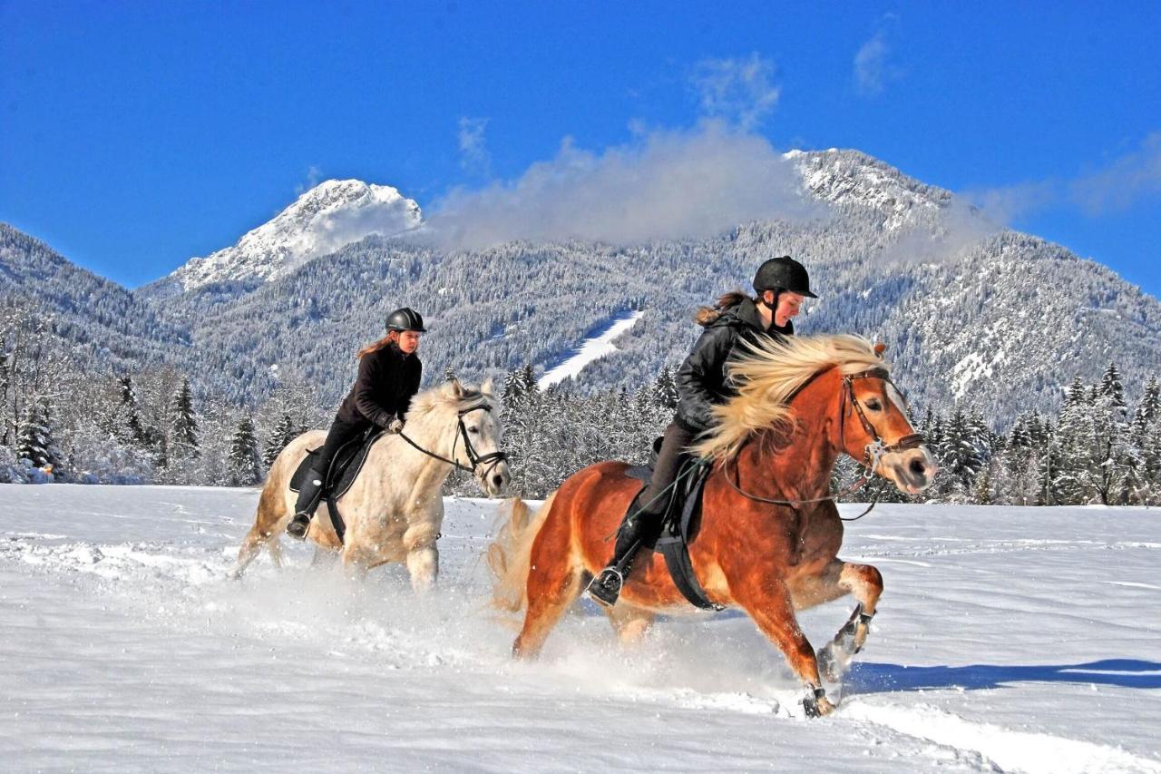 Ferienhaus Nickl Weissbriach Dış mekan fotoğraf